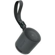 Głośniki przenośne - Głośnik bezprzewodowy SONY SRS-XB100 Czarny - miniaturka - grafika 1