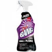 Cillit Bang Płyn do czyszczenia w sprayu Pleśń i Czarne Osady 750 ml