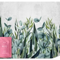 Fototapety - FOTOTAPETA DO SALONU LIŚCIE EUKALIPTUSA ROŚLINY BETON ABSTRAKCJA 450x315 - miniaturka - grafika 1