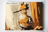 Malowanie po numerach - Dudek, ptak, ptaki, malowanie po numerach - miniaturka - grafika 1
