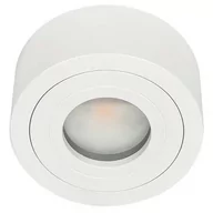 Lampy sufitowe - Orlicki Design Rullo Bianco Mini IP44 lampa podsufitowa 1x5W biała OR82425 - miniaturka - grafika 1