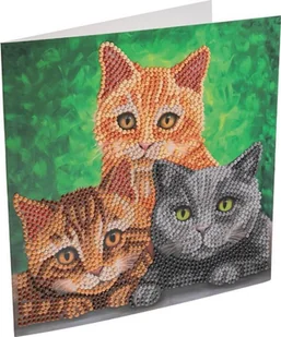 Cats, 18x18cm Crystal Art Card - Zabawki kreatywne - miniaturka - grafika 1