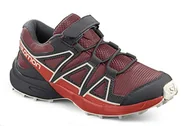 Buty dla chłopców - Salomon XA PRO 3D V8 Mid CSWP uniseks dziecięce wodoodporne buty do biegania na świeżym powietrzu do wędrówek, Czerwony czerwony pomidor wiśniowy dahlia waniliowy lód, 26 EU - miniaturka - grafika 1
