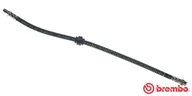 Przewody hamulcowe - BREMBO PRZEWÓD HAMULCOWY GIĘTKI BREMBO T61036 168014 T61036 - miniaturka - grafika 1