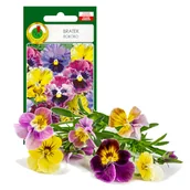 Nasiona i cebule - BRATEK MIESZANY ROCOCO OZDOBNY KWIAT NASIONA - miniaturka - grafika 1