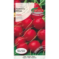 Nasiona i cebule - TORSEED nasiona RZODKIEWKA WCZESNA CARMEN 10 G - miniaturka - grafika 1