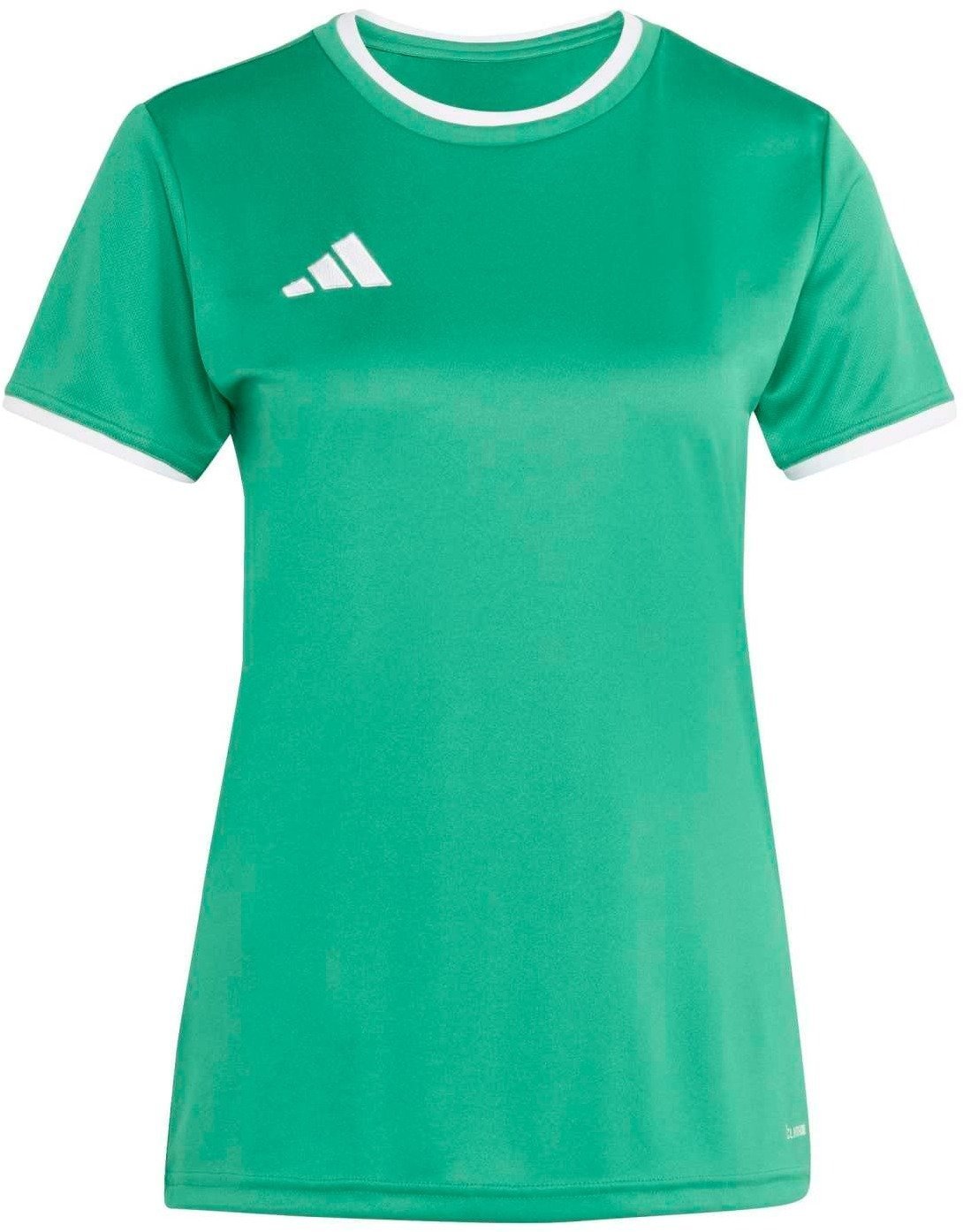 Koszulka damska adidas Entrada 26 Jersey zielona JZ2491 XS