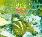 Muzyka alternatywna - Olo Walicki Kaszebe II. CD - miniaturka - grafika 1