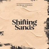 Winyle - Shifting Sands - miniaturka - grafika 1
