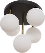 Lampy sufitowe - Ali lampa sufitowa 5-punktowa czarna/złota 5645 - miniaturka - grafika 1