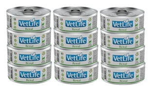 Farmina Vet Life Renal Cat 12x85g - Mokra karma dla kotów - miniaturka - grafika 1