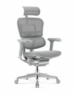 Fotele i krzesła biurowe - Fotel Ergohuman 2 Elite GS Grey - miniaturka - grafika 1