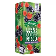 Herbata - Herbapol Intensywnie owocowa herbatka leśne co nieco 40 g (20 x 2 g) - miniaturka - grafika 1