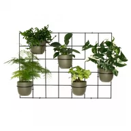 Kwietniki - Kwietnik na ścianę Hedera 2 zestaw 2 krata czarny / Domowe Kwietniki - miniaturka - grafika 1