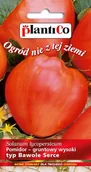 Nasiona i cebule - NASIONA Pomidor Gruntowy Wysoki Bawole Serce 0,2g PLANTICO 405660 - miniaturka - grafika 1