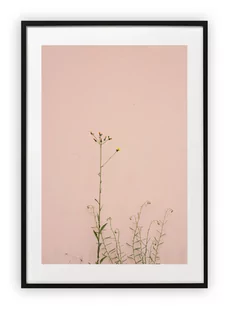 Plakat B1 70x100 cm Wiosna Rośliny Kwiaty   WZORY - Plakaty - miniaturka - grafika 1
