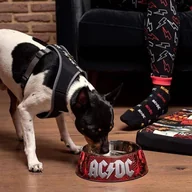 Miski dla psów - Disney Miska AC/DC rozm S miska dla psa - miniaturka - grafika 1