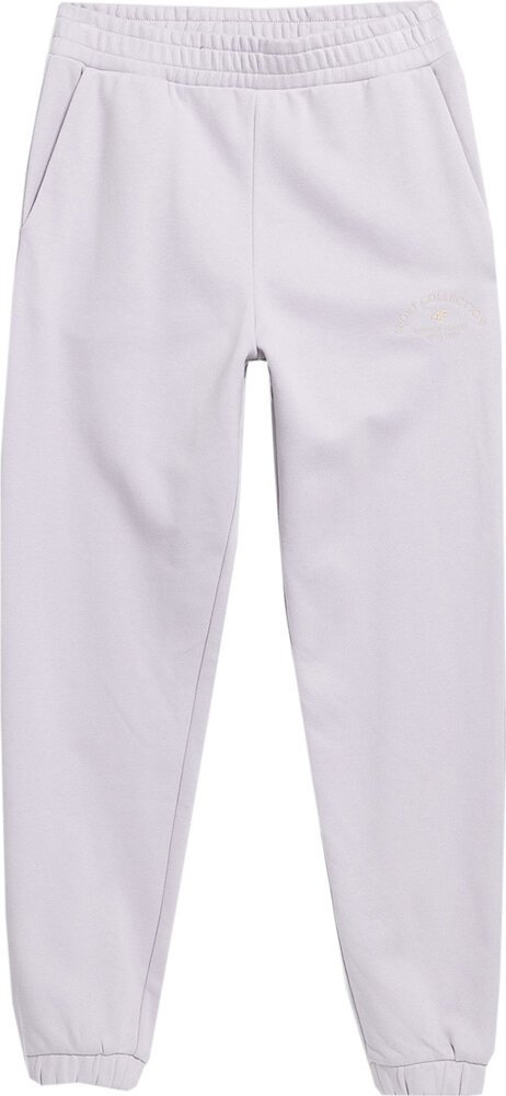 Spodnie damskie 4F CAS F472 fioletowe 4FAW23TTROF472 52S-XL