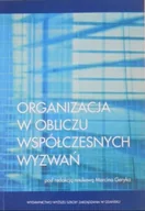 Ekonomia - Organizacja w obliczu współczesnych wyzwań - miniaturka - grafika 1