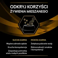 Mokra karma dla kotów - PRO PLAN Veterinary Diets NF Early Care Renal Function Karma mokra dla kota z kurczakiem 85g - miniaturka - grafika 1