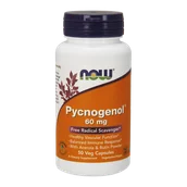 Suplementy naturalne - Now Foods Pycnogenol 60 mg 50 kapsułek - miniaturka - grafika 1