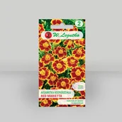 Nasiona i cebule - Legutko sp. z o.o Nasiona Aksamitka Red Marietta mahoniowoczerwona - miniaturka - grafika 1