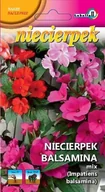 Nasiona i cebule - Niecierpek balsamina mix 1g / L / - miniaturka - grafika 1