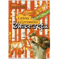 Leśna kolorowanka Zwierzęta Nowa - Kolorowanki, wyklejanki - miniaturka - grafika 1