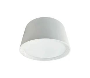 LED Oświetlenie punktowe LED/17W/230V 4000K śr. 15 cm białe - Lampy sufitowe - miniaturka - grafika 1