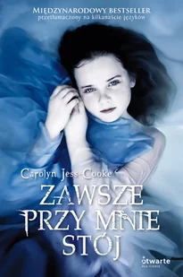 Zawsze przy mnie stój - Literatura obyczajowa - miniaturka - grafika 1
