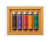 Naboje i atramenty - Atramenty Jacques Herbin Essentielles 5 x 15ml Solaris set - miniaturka - grafika 1