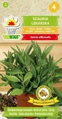 Nasiona i cebule - Toraf Szałwia lekarska nasiona ziół 0,5g 00049 - miniaturka - grafika 1