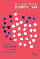 E-booki - literatura faktu - Niedopolska. Nowe spojrzenie na Ziemie Odzyskane - miniaturka - grafika 1