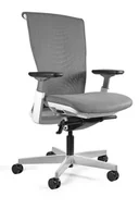 Fotele i krzesła biurowe - Fotel ergonomiczny, biurowy, mikrosiatka, Reya, biały, szary - miniaturka - grafika 1