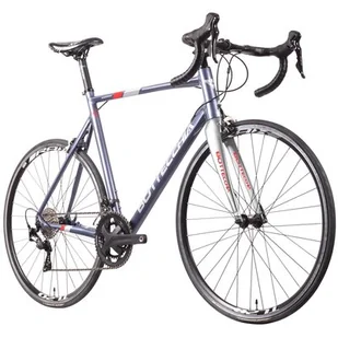 Bottecchia Duello 28 cali męski Szaro-biały 2022 - Rowery - miniaturka - grafika 1
