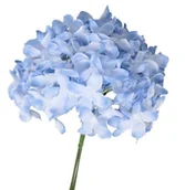 Sztuczne kwiaty - GAŁĄZKI DEKORACYJNE DZIKI BEZ 6SZT OZDOBA - miniaturka - grafika 1