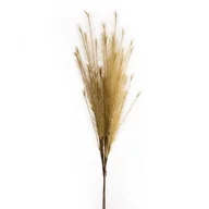 Sztuczne kwiaty - Sztuczna Gałązka Dekoracyjna Flore Beżowa X6 - miniaturka - grafika 1