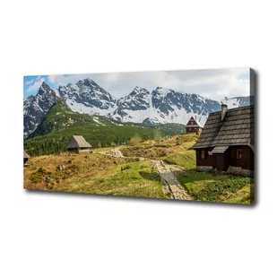Foto obraz canvas Hale Tatry - Obrazy i zdjęcia na płótnie - miniaturka - grafika 1