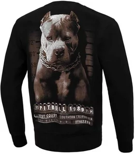 Bluzy sportowe męskie - Pit Bull Bluza Bez Kaptura Mugshot Crewneck Black - grafika 1