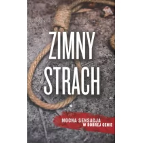 W.A.B. GW Foksal Karin Slaughter Zimny strach - Kryminały - miniaturka - grafika 1