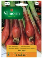 Nasiona i cebule - CEBULA SIEDMIOLATKA czerwona Red Toga WYSOKA JAKOŚĆ premium NASIONA warzyw p. 7.521.127 - miniaturka - grafika 1