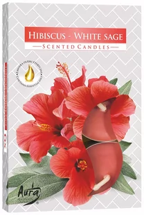 Podgrzewacz '6 Hibiskus - Biała Szałwia Aura Bispol - Świece - miniaturka - grafika 1