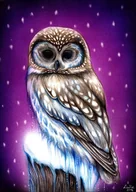 Zabawki kreatywne - HAFT DIAMENTOWY Diamond Painting Mozaika Zestaw 5D - miniaturka - grafika 1