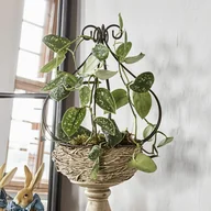 Kratki i pergole - Podpórka do kwiatów Lisan - miniaturka - grafika 1