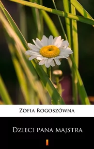 Dzieci Pana Majstra - E-booki - literatura polska - miniaturka - grafika 1