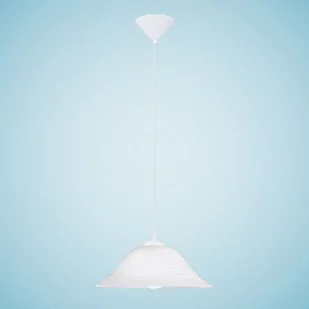 Eglo Zwis sufitowy 1pł ALBANY 90978 - Lampy sufitowe - miniaturka - grafika 1