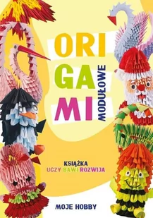 Wodzyńska Zofia Origami modułowe - Podręczniki dla szkół wyższych - miniaturka - grafika 2