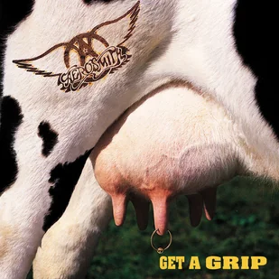 Get A Grip CD) Aerosmith - Rock - miniaturka - grafika 2