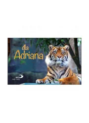 Dla Adriana - seria "Imiona" - Religia i religioznawstwo - miniaturka - grafika 1