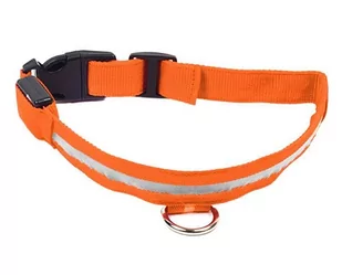 ŚWIECĄCA OBROŻA DLA PSA LED Rozm. S 34-42cm pomarańczowa AG232C - Obroże dla psów - miniaturka - grafika 1